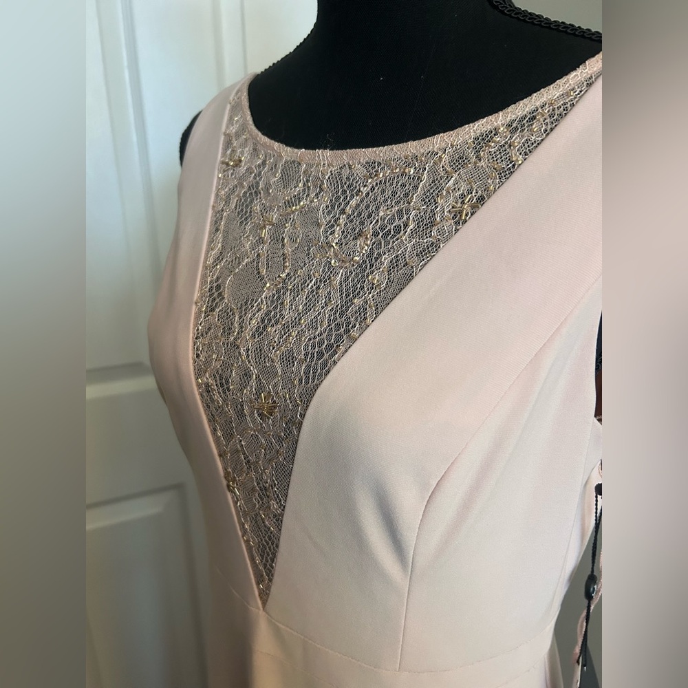 Adrianna Papell Blush Lace Maxi Dress - Picture 3 of 9
